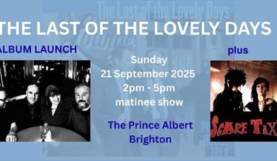 The Last of The Lovely Days Album Launch