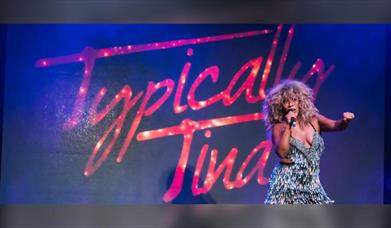 Tina Turner Tribute