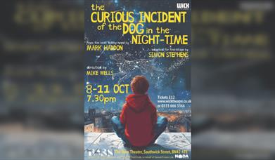 The Curious Incident of the Dog in the Night-Time
