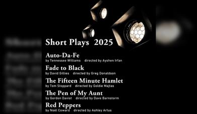 Short Plays 2025