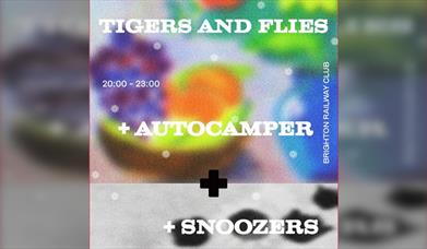Gathering Speed Presents: Autocamper+Snoozers+Tigers & Flies
