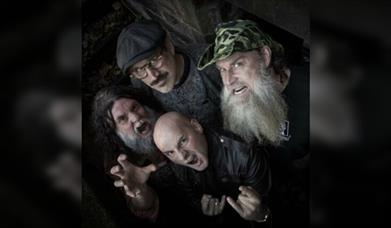 Hayseed Dixie