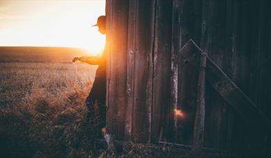 Person playing an acoustic guitar in the sunset