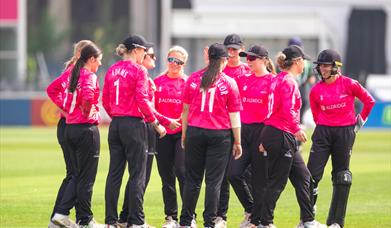 Sussex Sharks Double Header June 1