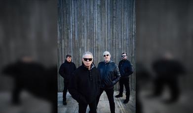 The Stranglers