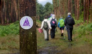 Guided Serpent Trail Walks, Summer 2025