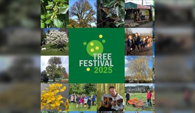 Branch Out – The Tree Festival Symposium