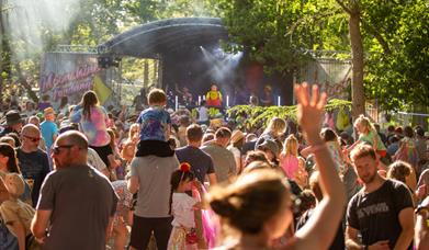 Elderflower Fields 2025