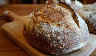 Introduction to Sourdough & Slow Fermentation