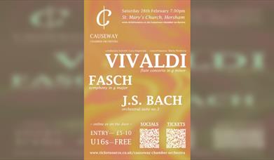Causeway Chamber Orchestra - Making of a Great
