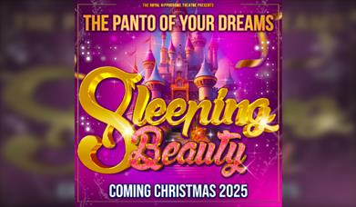 Sleeping Beauty - Opening Weekend