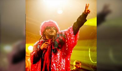 Skindred
