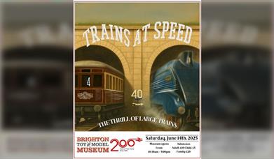 Trains at Speed: Special Train Running Day at Brighton Toy Museum