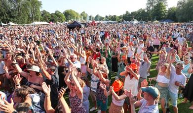 Crowds at the festival.