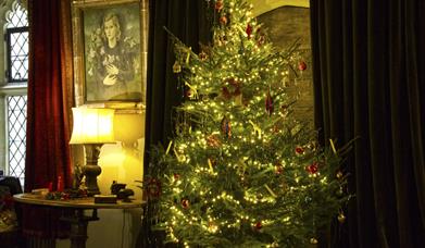 Christmas at Nymans: The Lion, The Witch and The Wardrobe