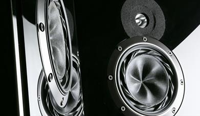 Black and white image of two large shiny speakers