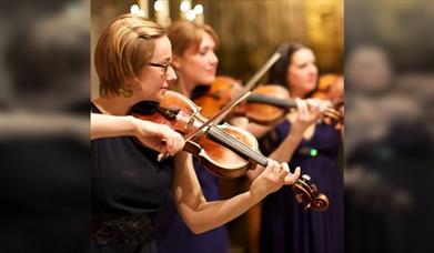 Vivaldi's Four Seasons & Lark Ascending by Candlelight