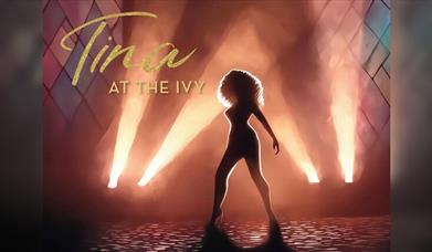 Tina Turner on tour