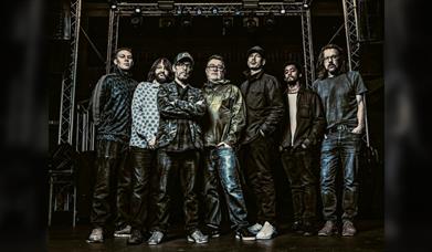 The Herbaliser Band