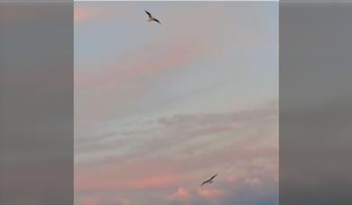 So Talk – A Space To Talk