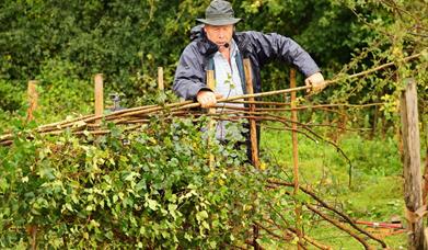 CPRE Sussex Countryside Day