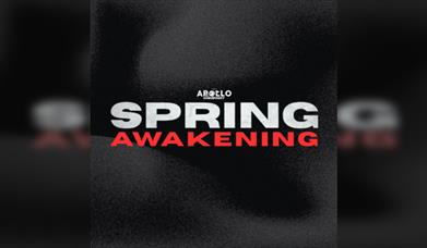 Spring Awakening