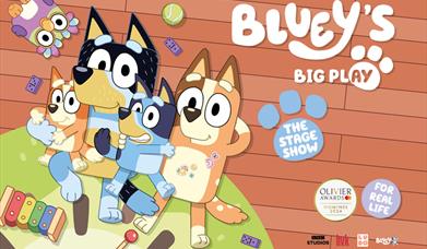 Bluey's Big Play