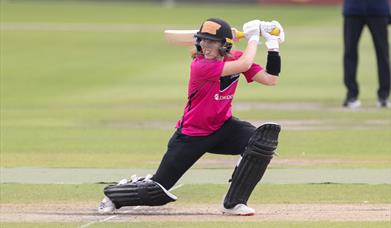 Sussex Sharks Double Header July 5