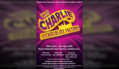 Eods: Charlie And The Chocolate Factory