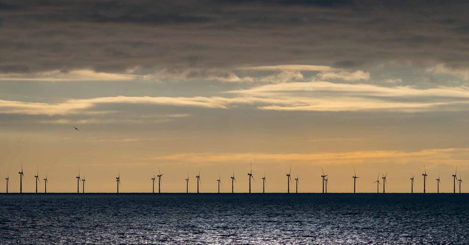 Let's Meet... Rampion Centre - Visit Brighton