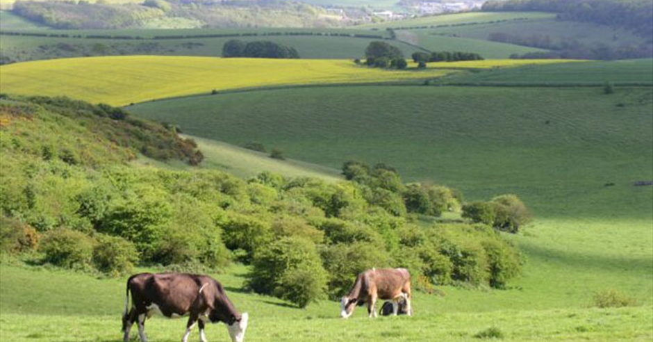 Stanmer Park - Visit Brighton