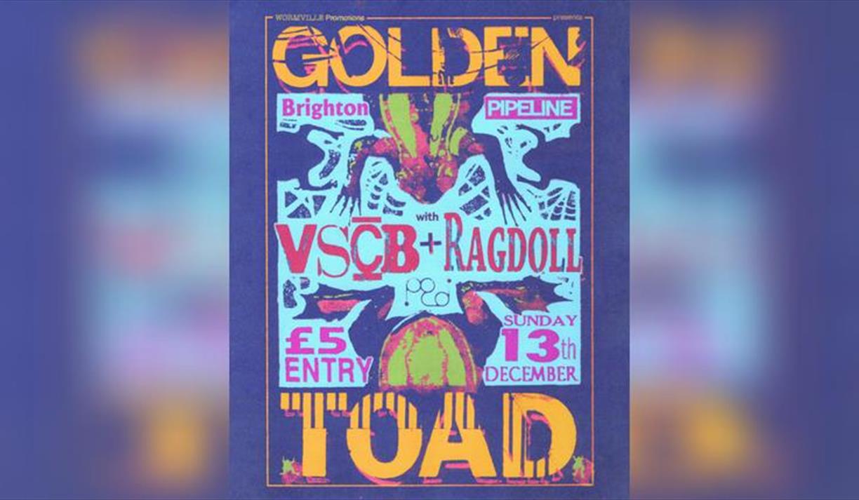 Golden Toad + Vcsb + Ragdoll