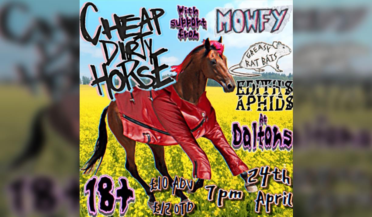 Half Blind Promotions presents: Cheap Dirty Horse + support