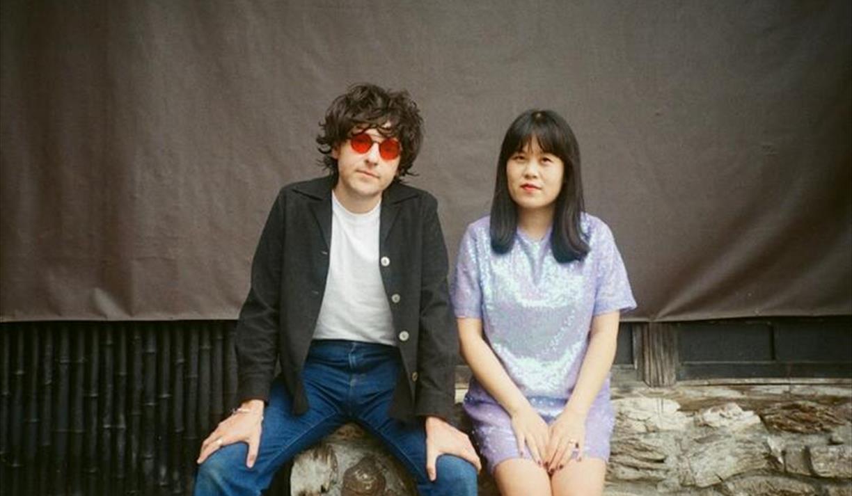 Chinese American Bear