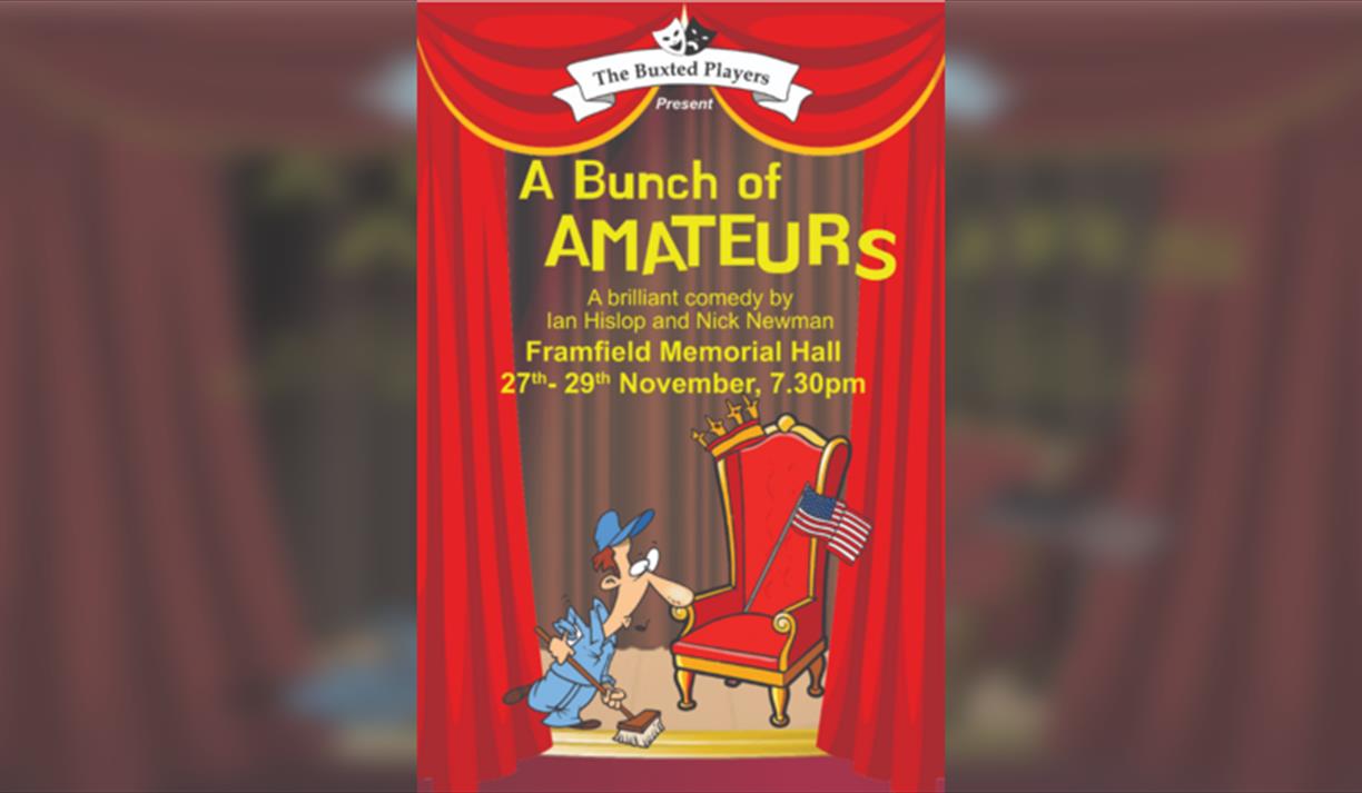 A Bunch of Amateurs by Ian Hislop & Nick Newman
