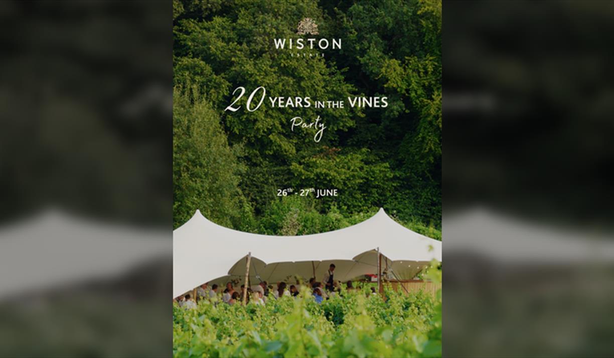 20 Years In the Vines Party