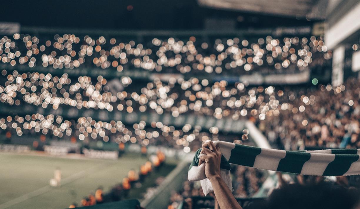 Fan holding green and white scarf at football game