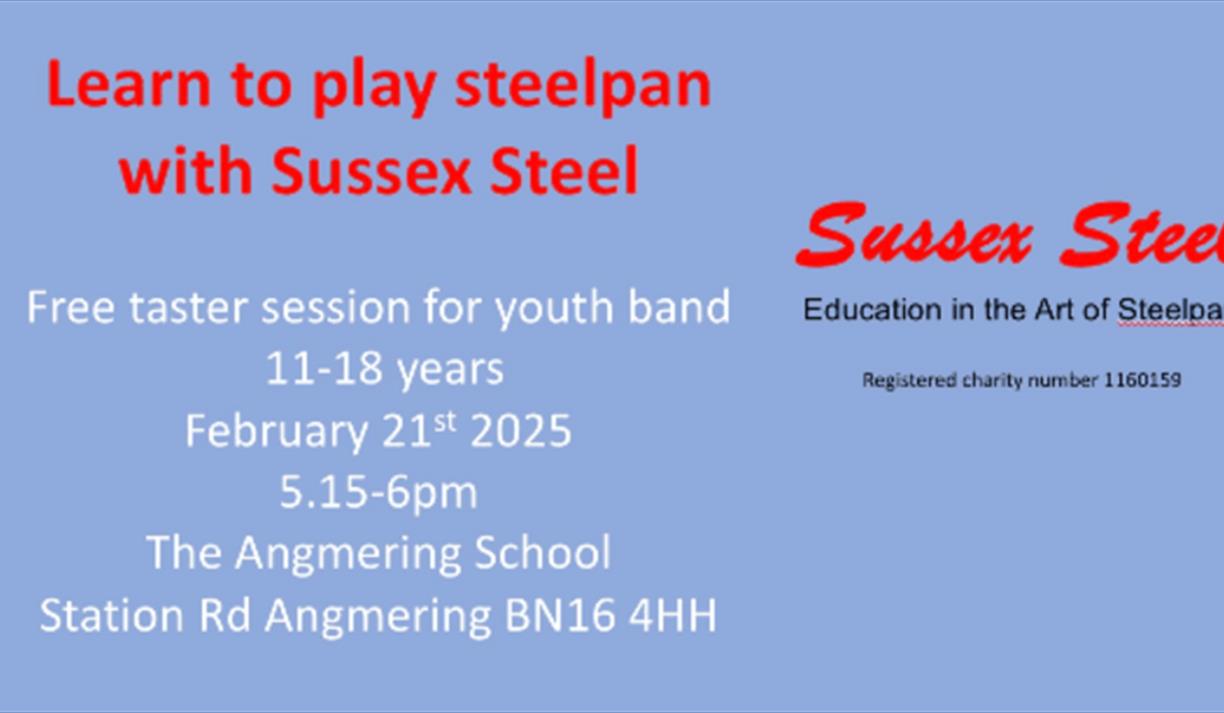 Sussex Steel Youth band steelpan taster session