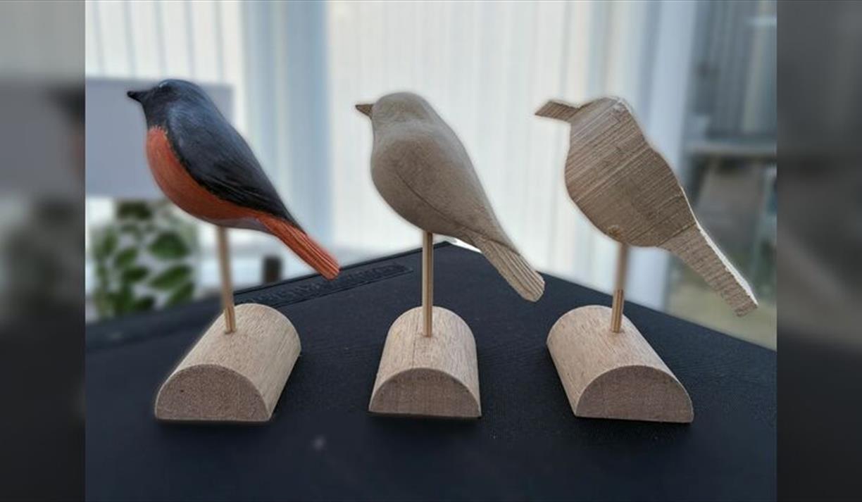 Begin Wood Carving – Redstart