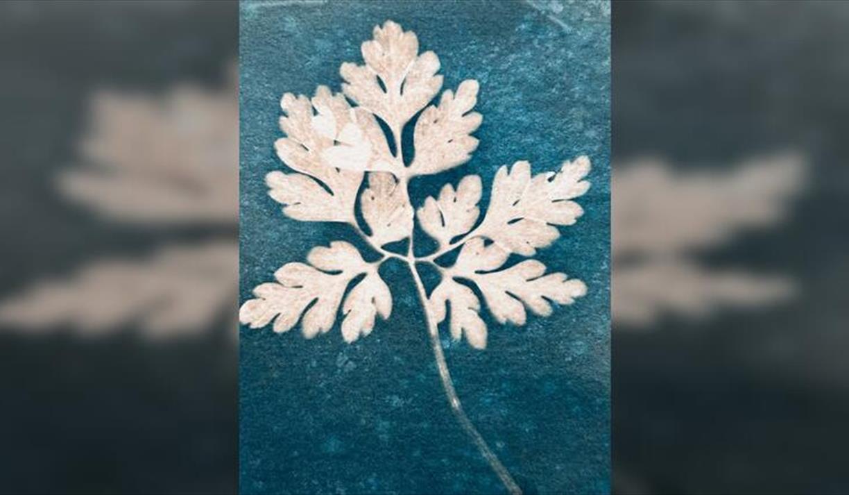 Cyanotype Printing Workshop