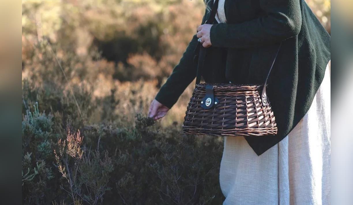Foraging Walks