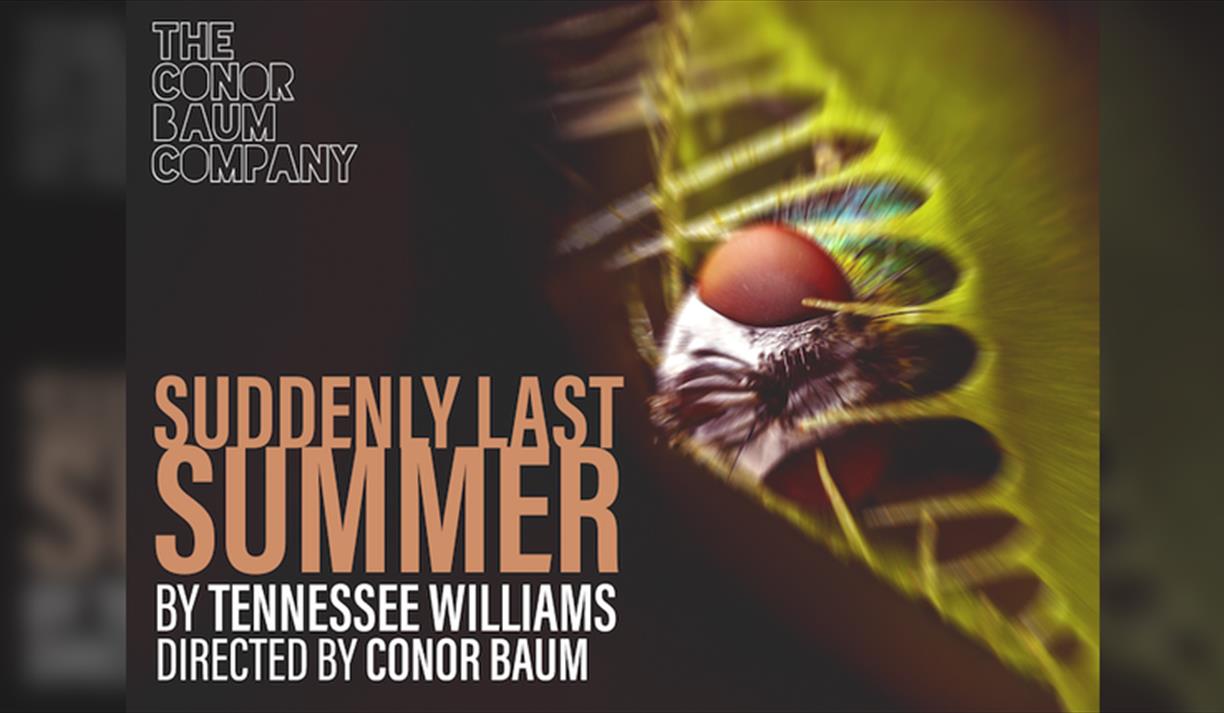 Suddenly Last Summer