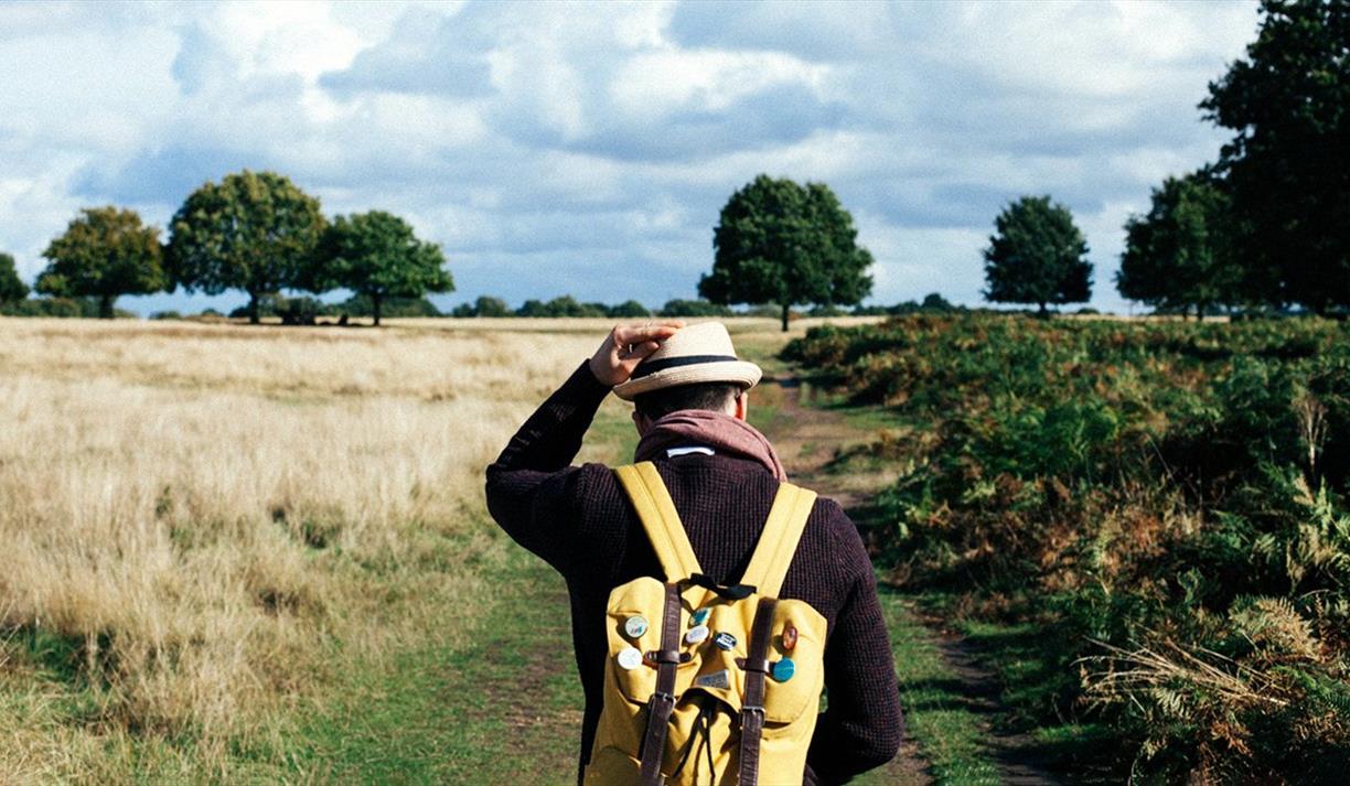 Man walking in the countryside