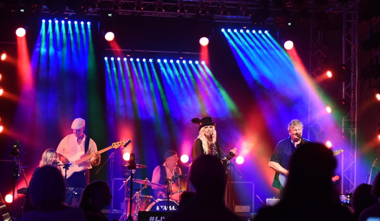 Fleetwood Mac Tribute - Our Own Way