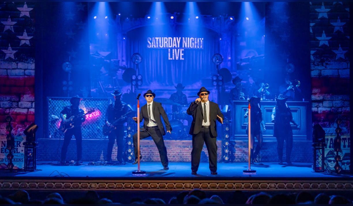 The Chicago Blues Brothers