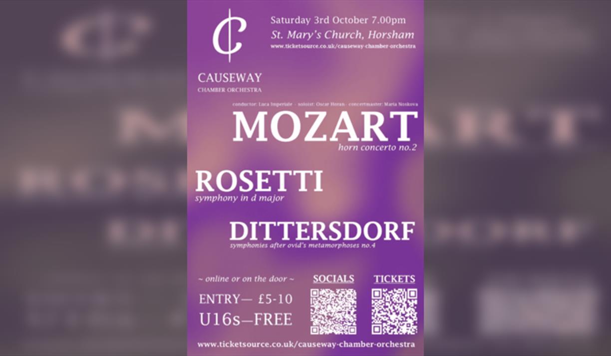 Causeway Chamber Orchestra - A Viennese Akademie