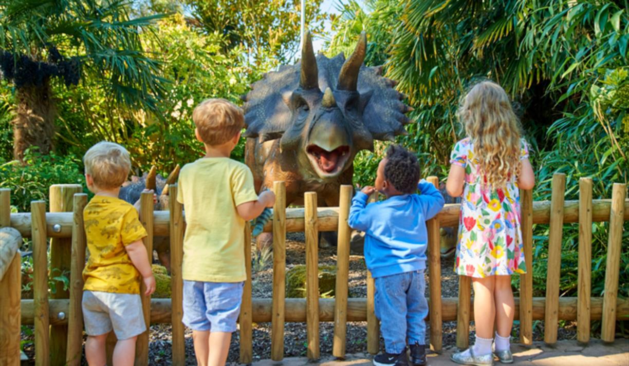 Zooper Summer Holidays at Drusillas!