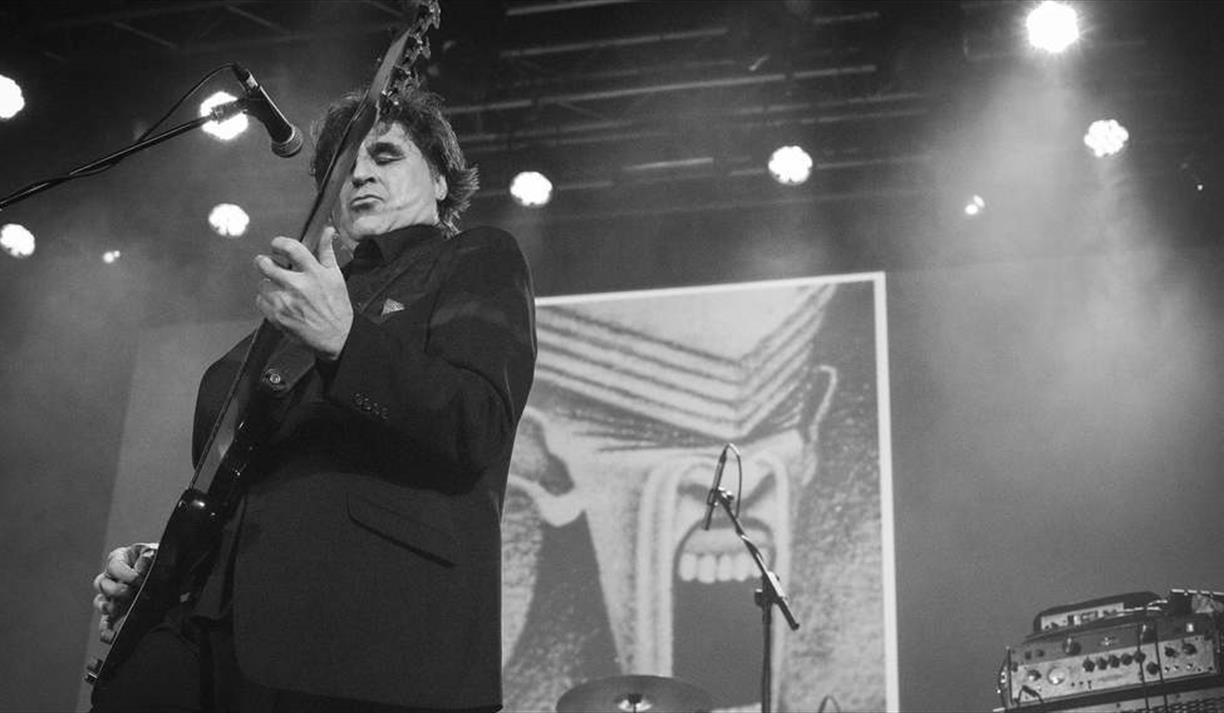 The Chameleons