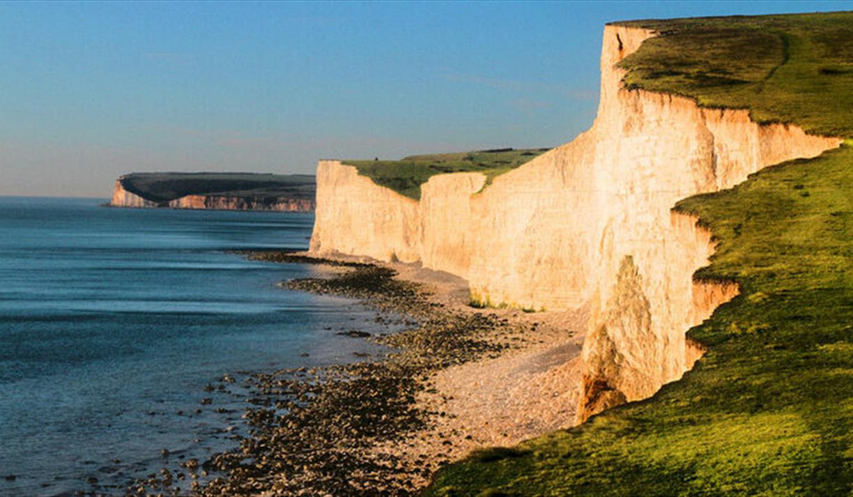 Harmonium: With Brighton Festival Chorus