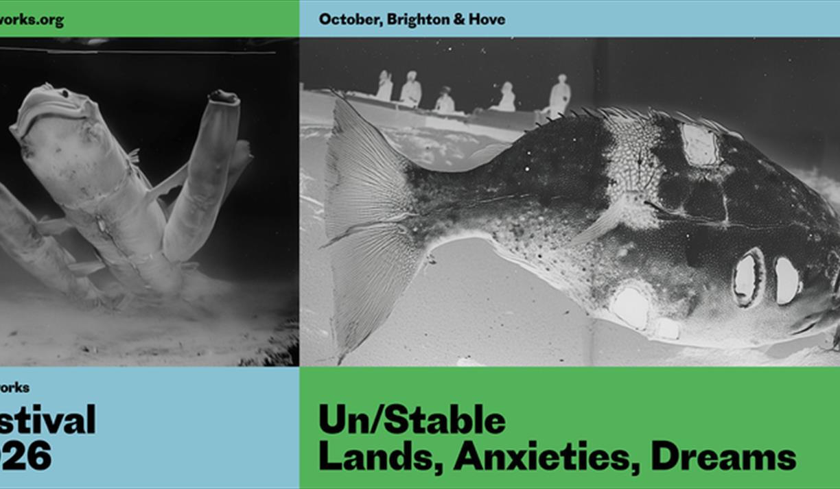 Photoworks Festival: Un/Stable: Lands, Anxieties, Dreams